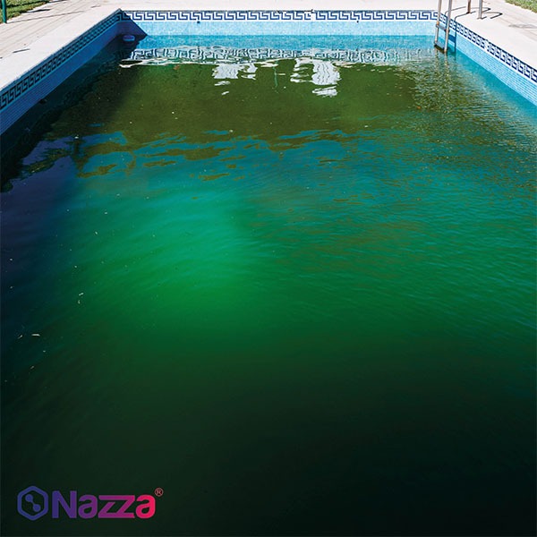 nettoyer eau verte piscine